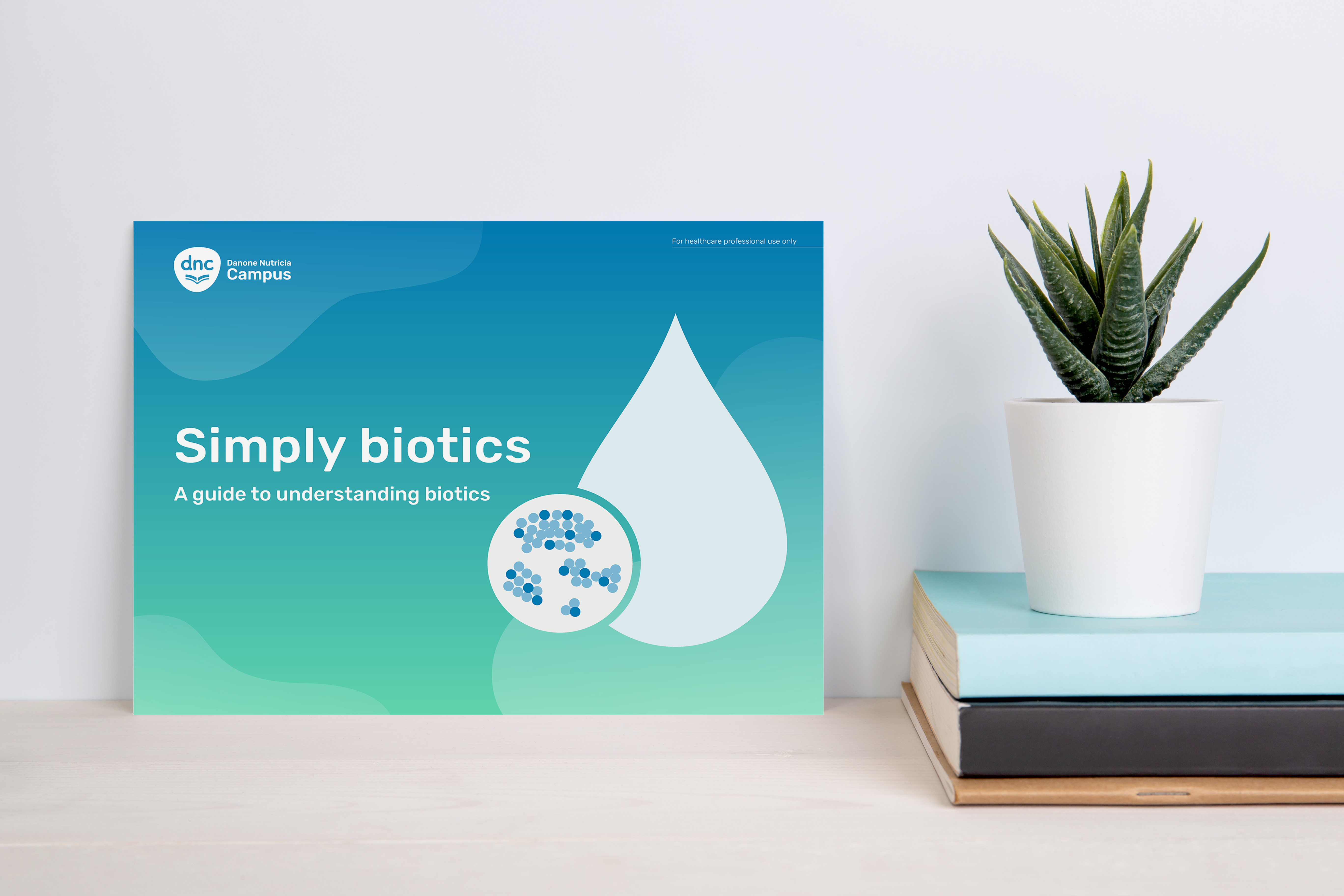 Simply biotics: A guide to understanding biotics